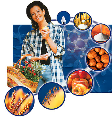 Файл:Food Industry.jpg